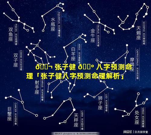 🐬 张子健 🐺 八字预测命理「张子健八字预测命理解析」